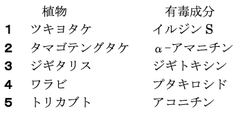 解説画像